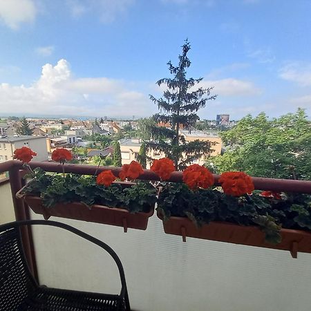 Apartman Lienka Free Parking City Centre Trenčín エクステリア 写真