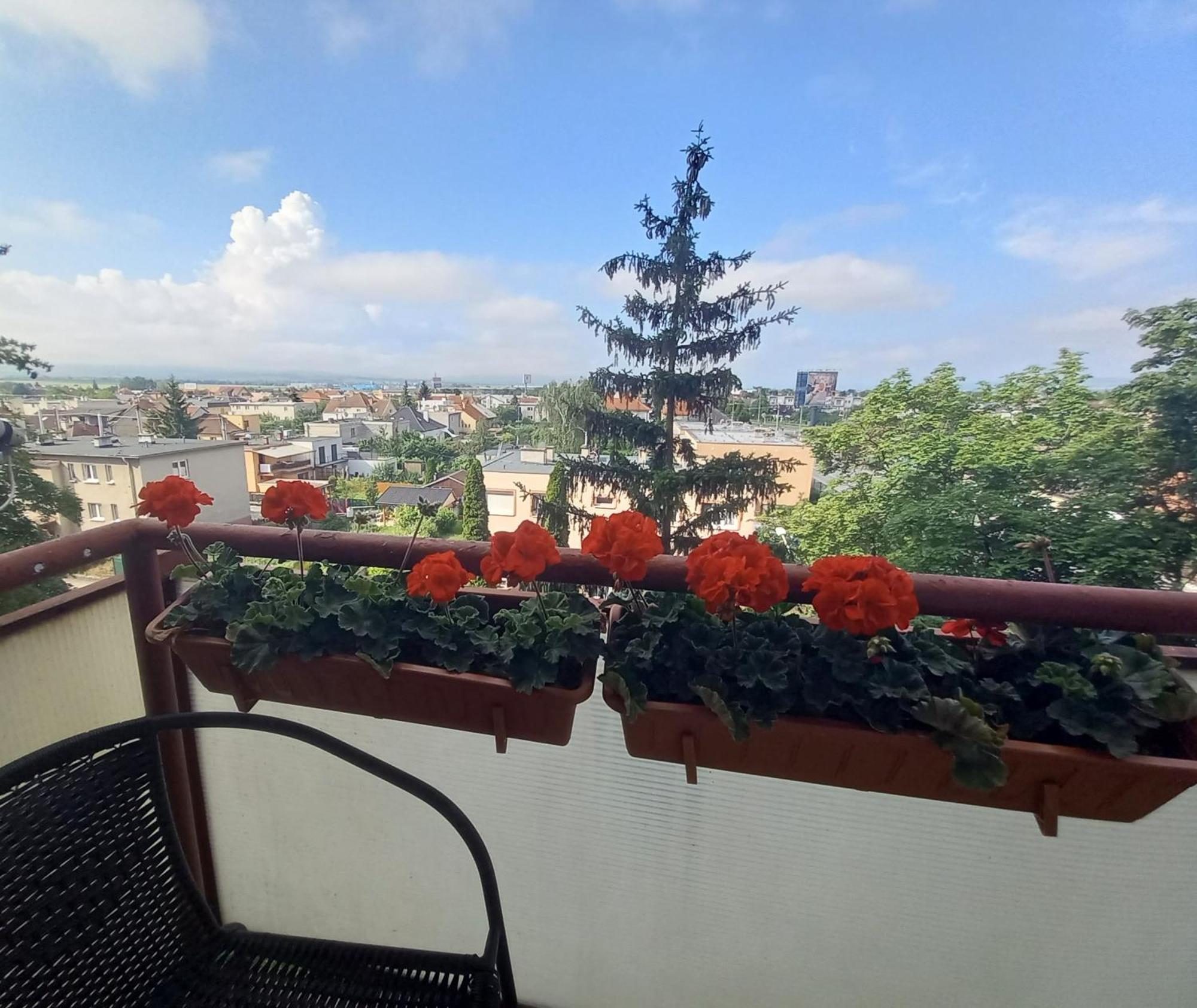 Apartman Lienka Free Parking City Centre Trenčín エクステリア 写真